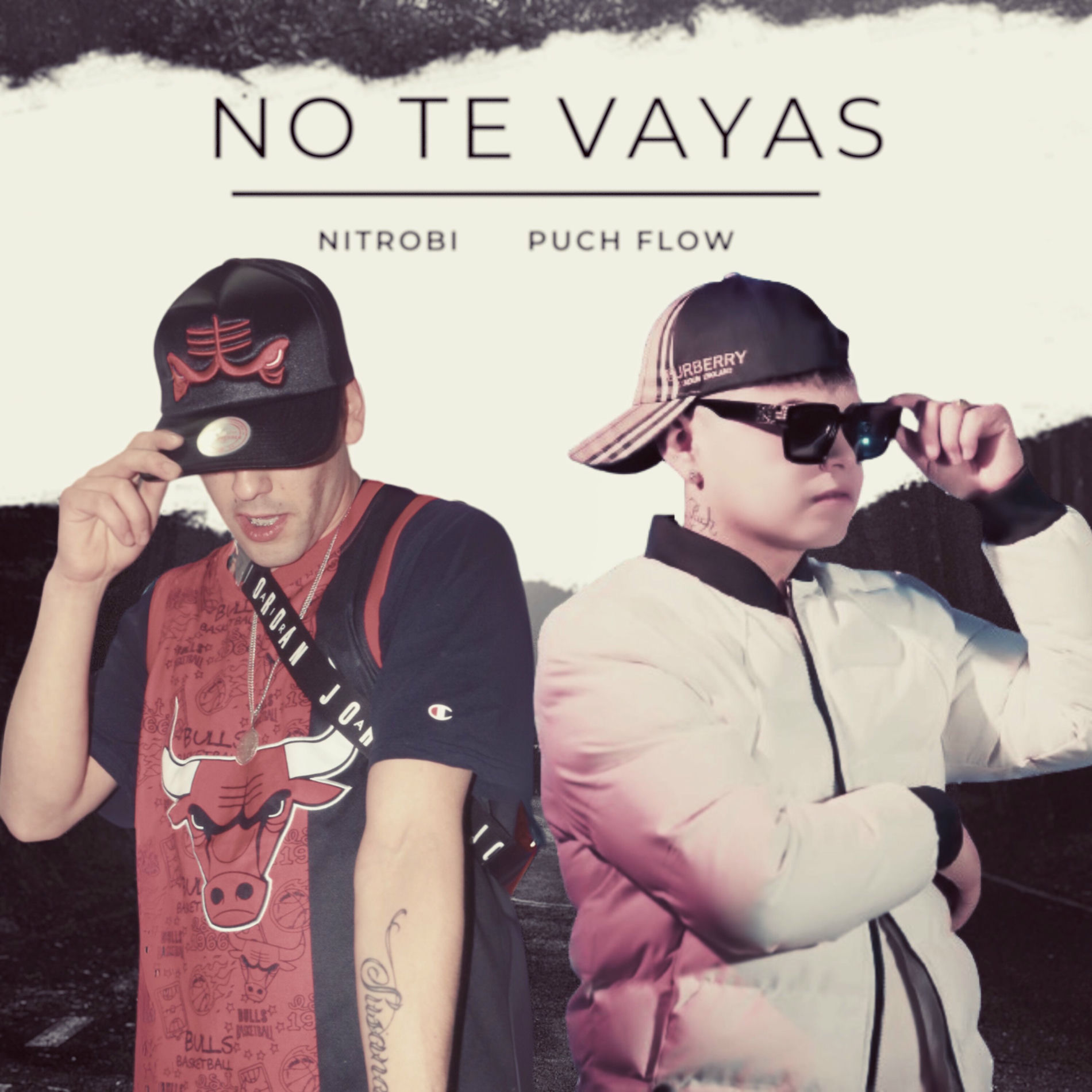 Album cover of No Te Vayas