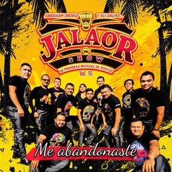 Cover of Me Abandonaste