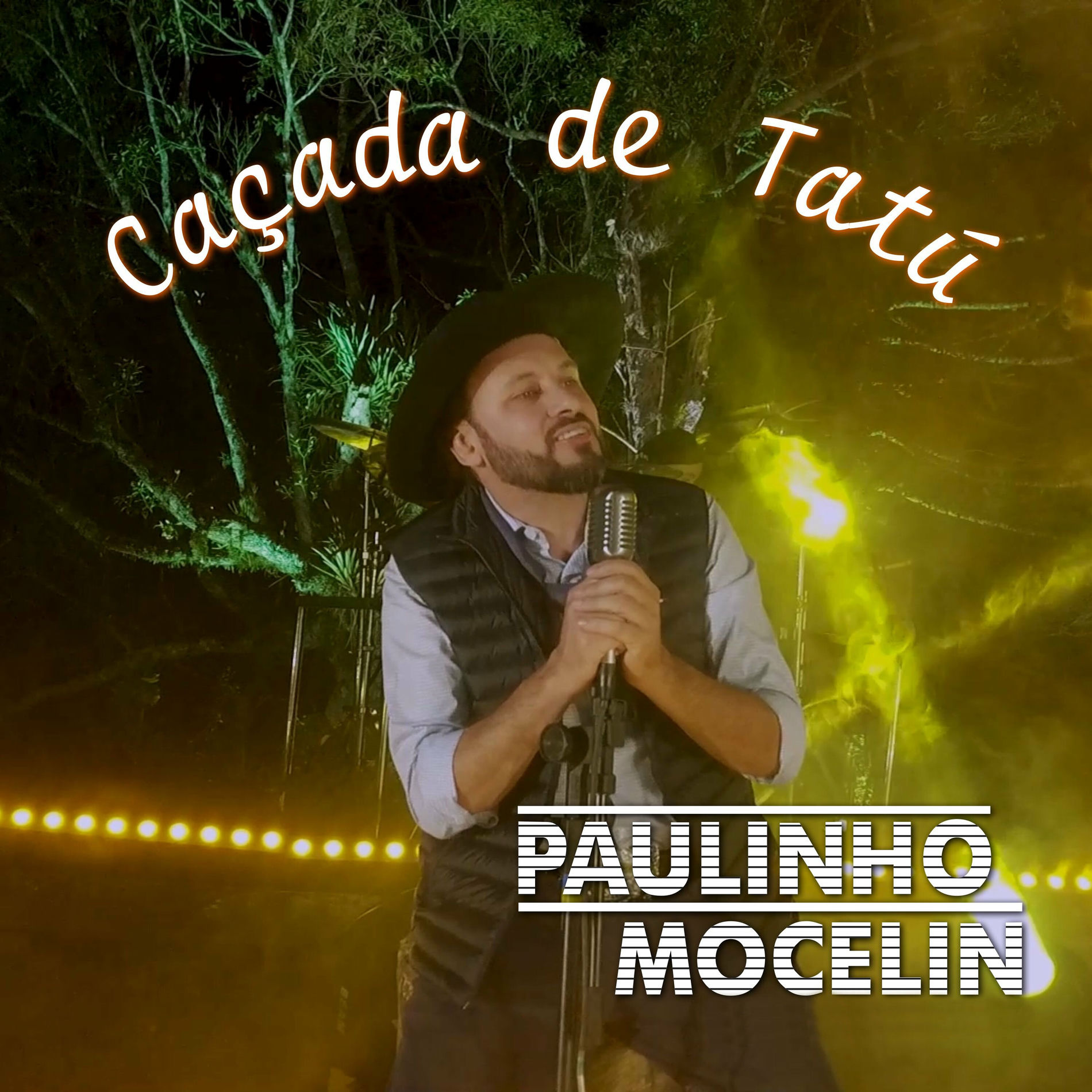 Album cover of Caçada de Tatu