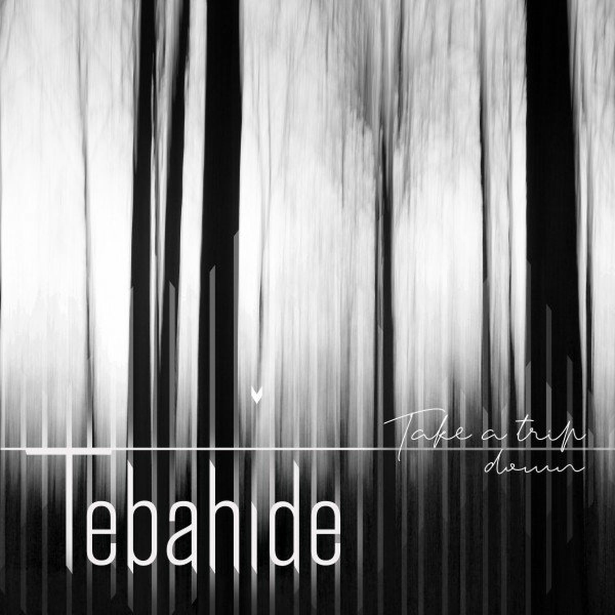 Album cover of Take a Trip Down