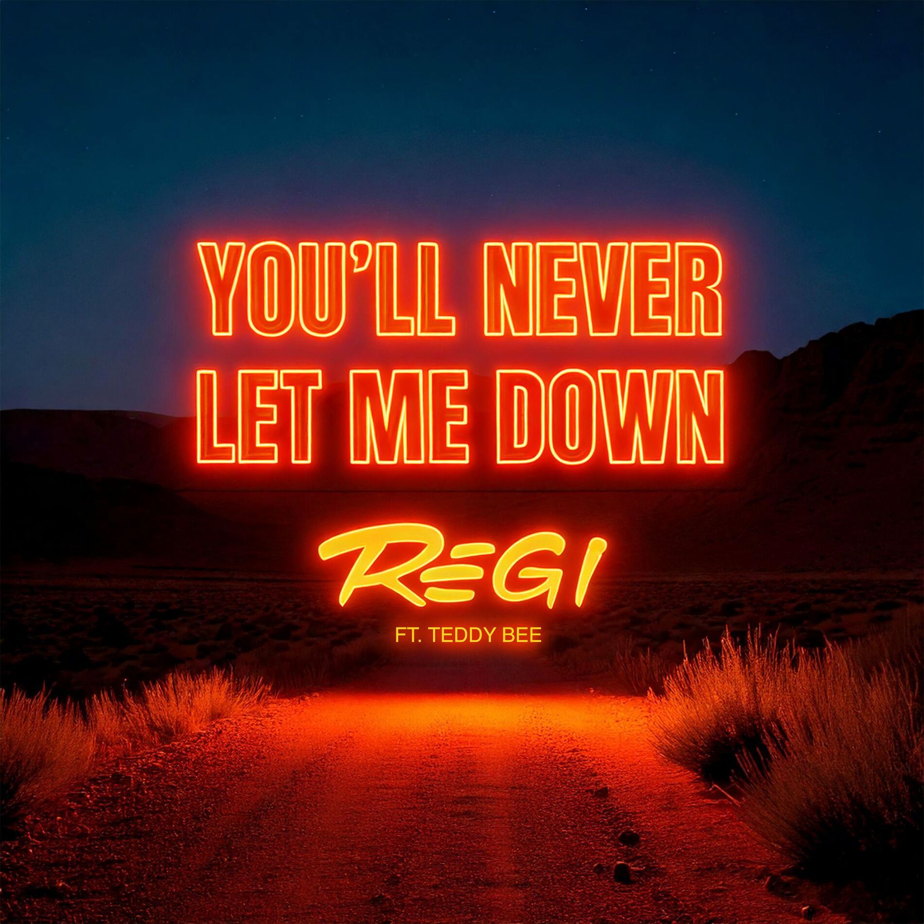 Album cover of You'll Never Let Me Down