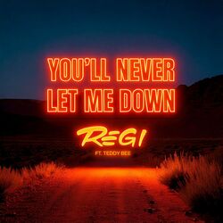 Cover of You'll Never Let Me Down