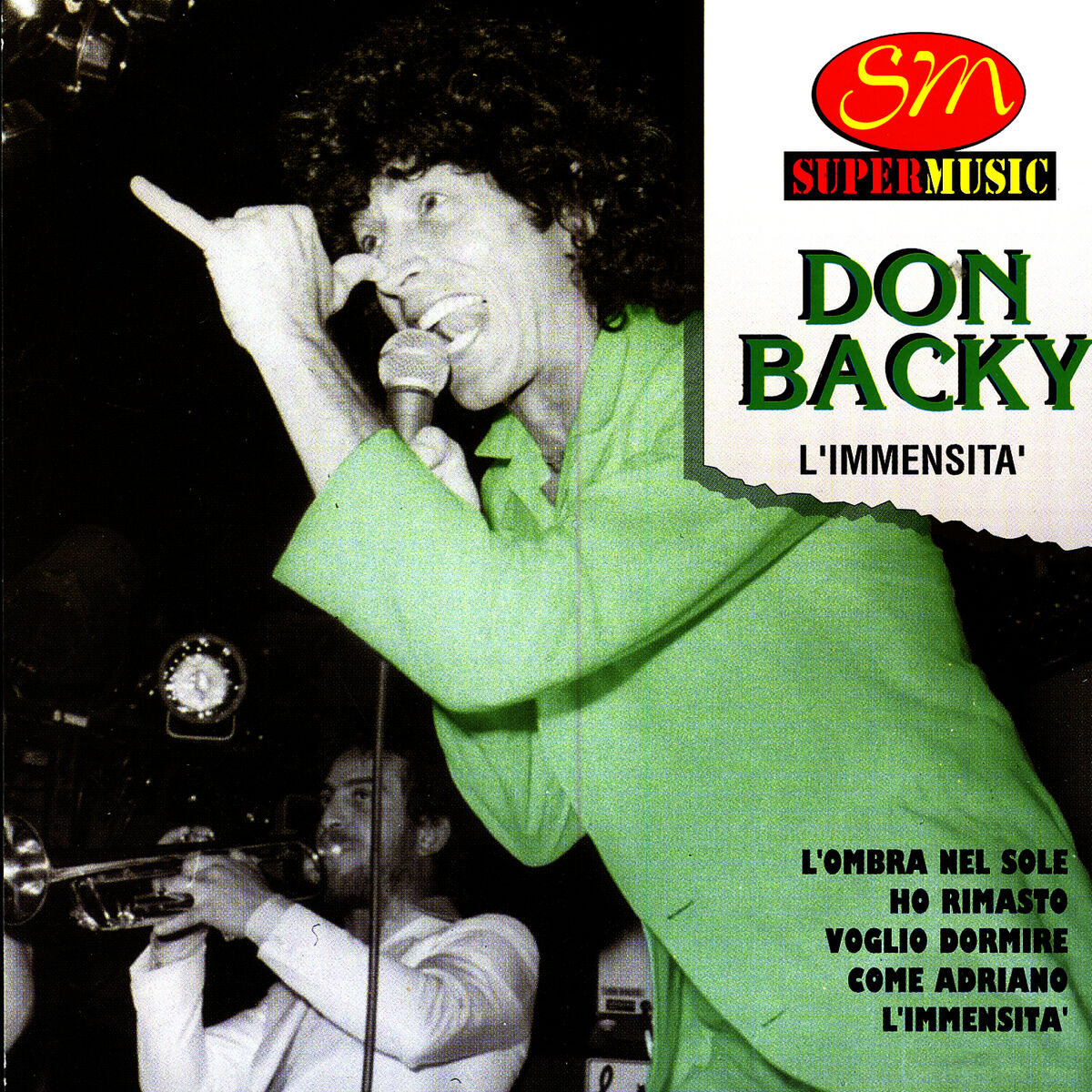 Album cover of L'Immensita