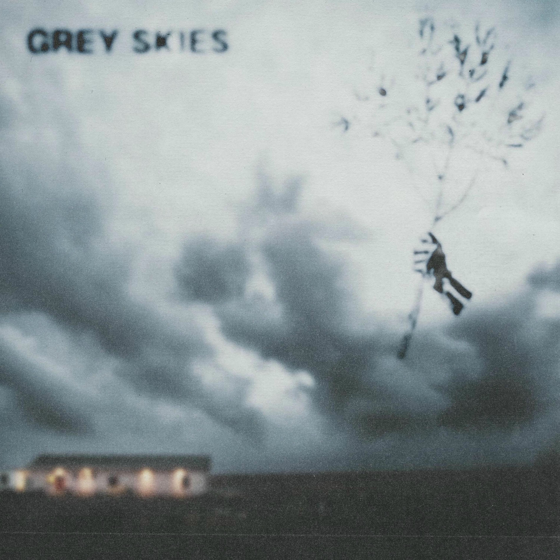 Album cover of Grey Skies