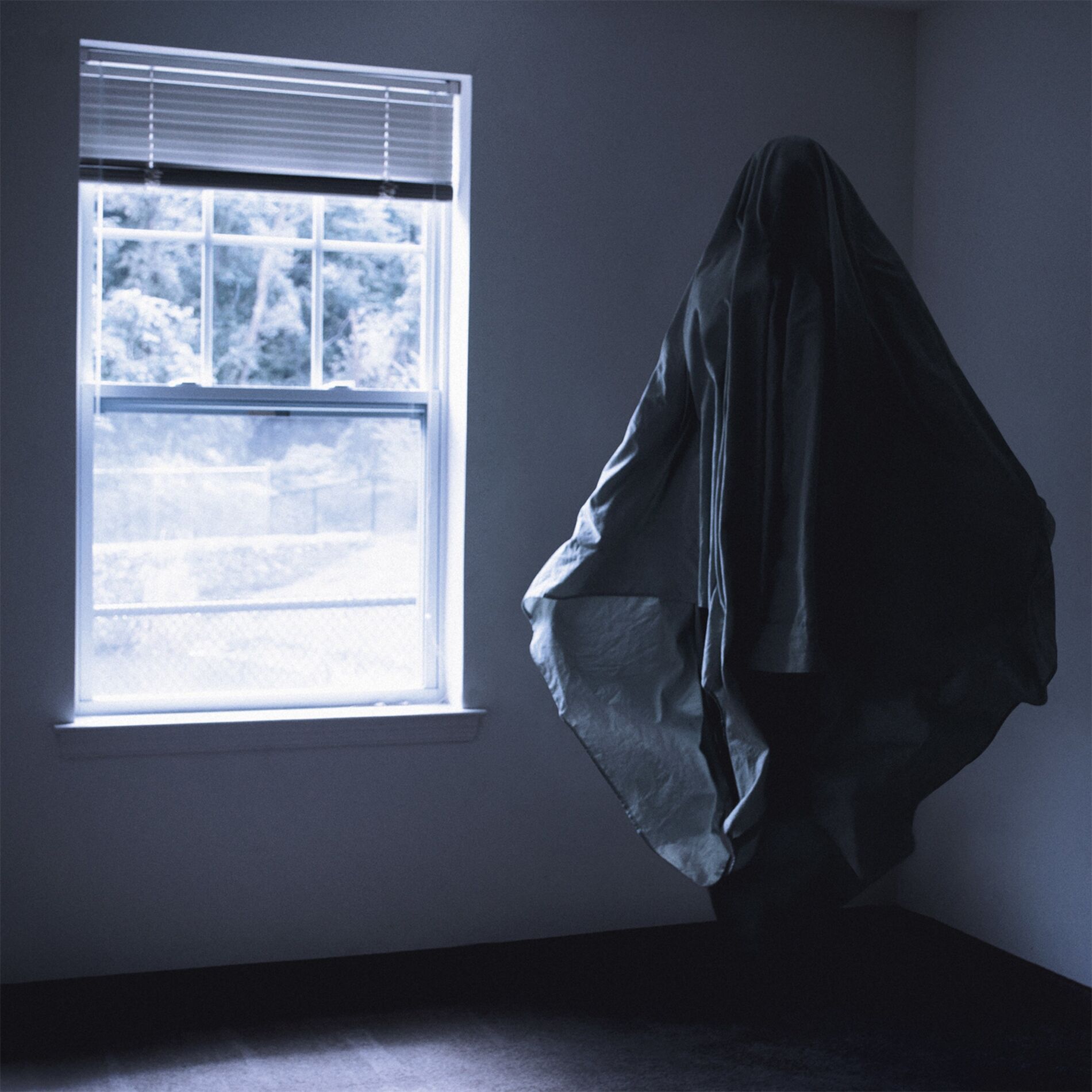 Album cover of Regalia