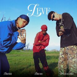Cover of LEVE