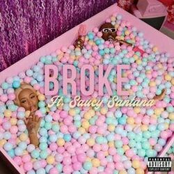 Cover of Broke
