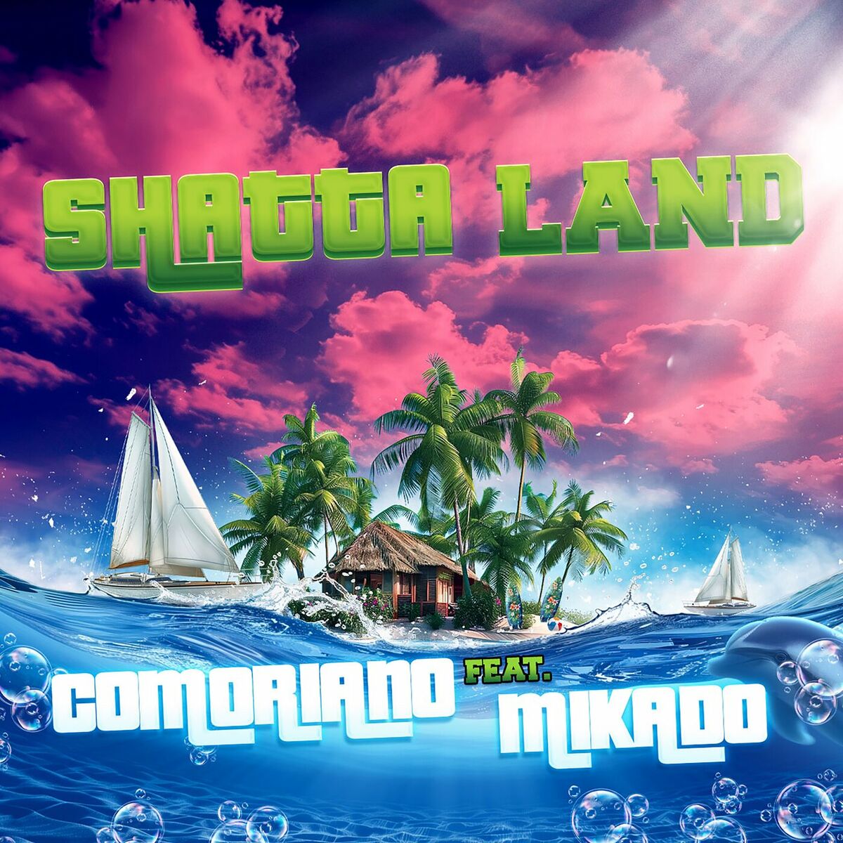 Album cover of SHATTA LAND