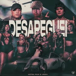 Cover of Desapeguei