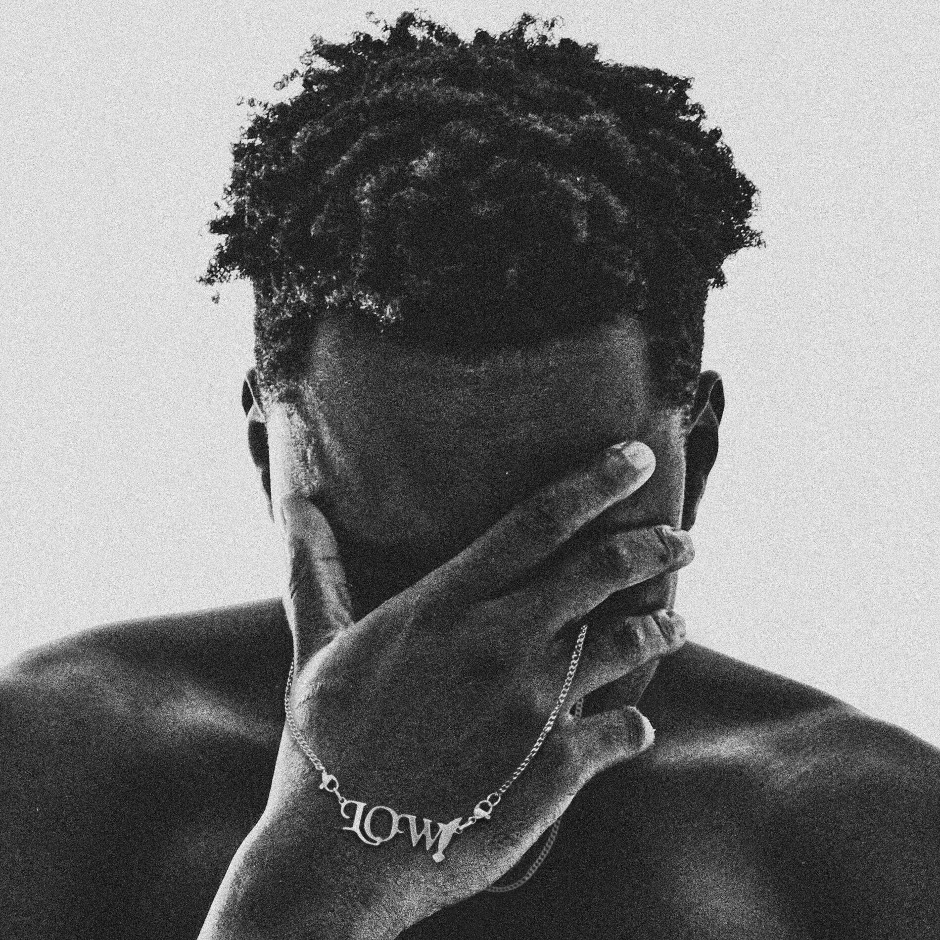 Album cover of LOWLIFE
