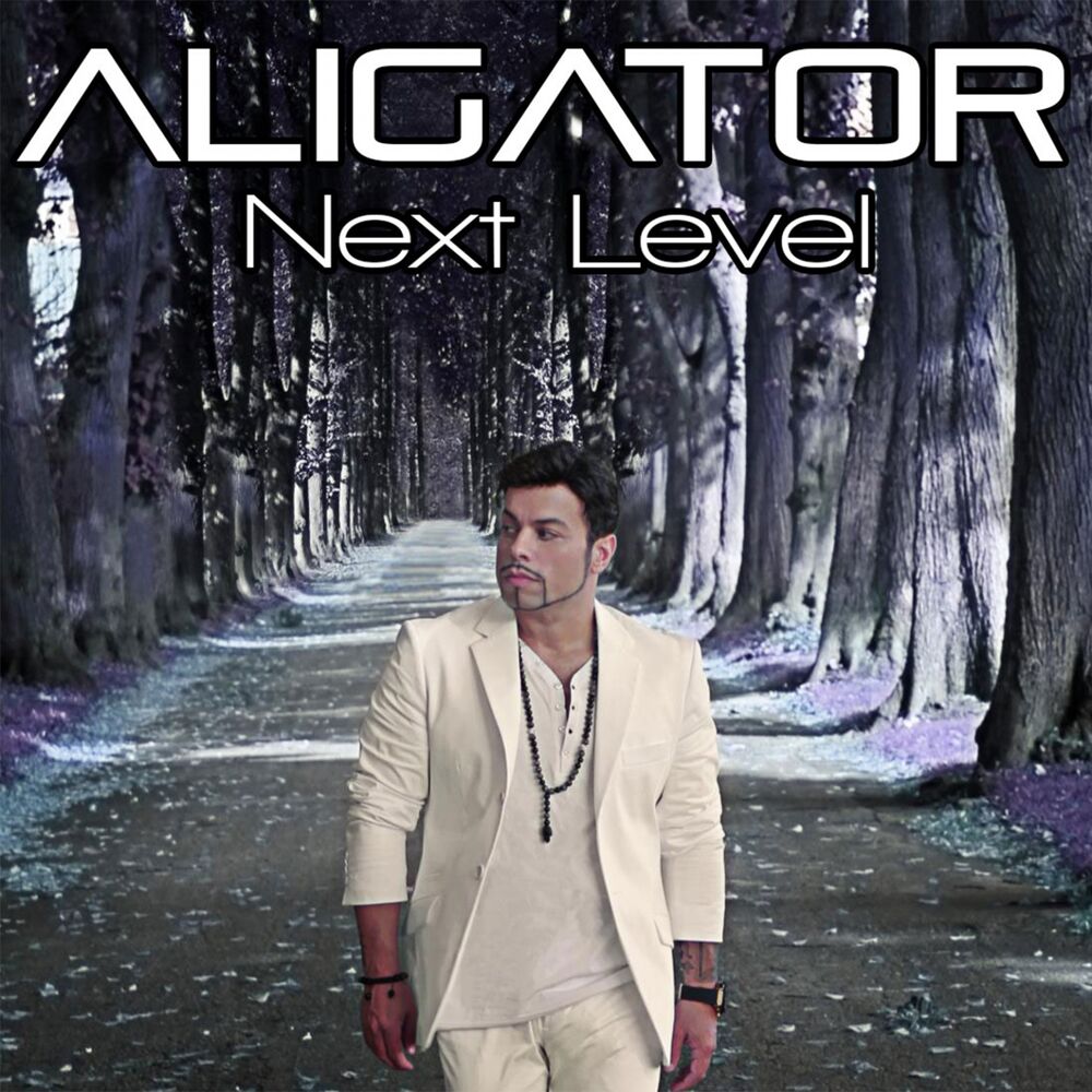 Picture of Next Level
