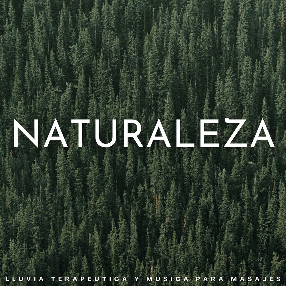 Picture of Naturaleza: Lluvia Terapéutica Y Música Para Masajes
