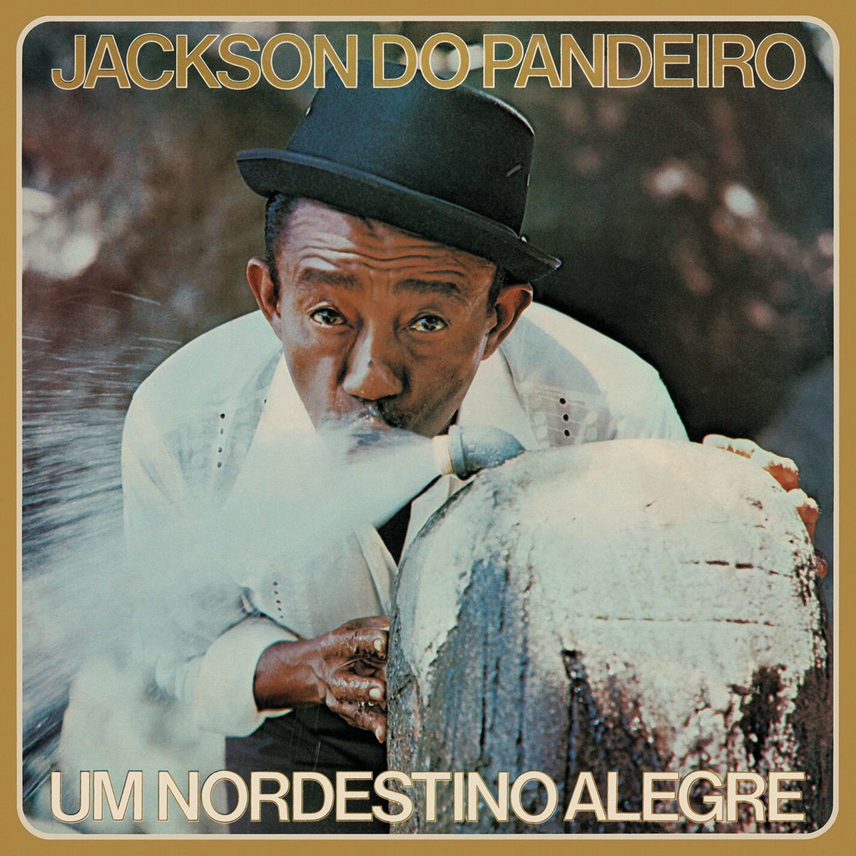 Album cover of Um Nordestino Alegre