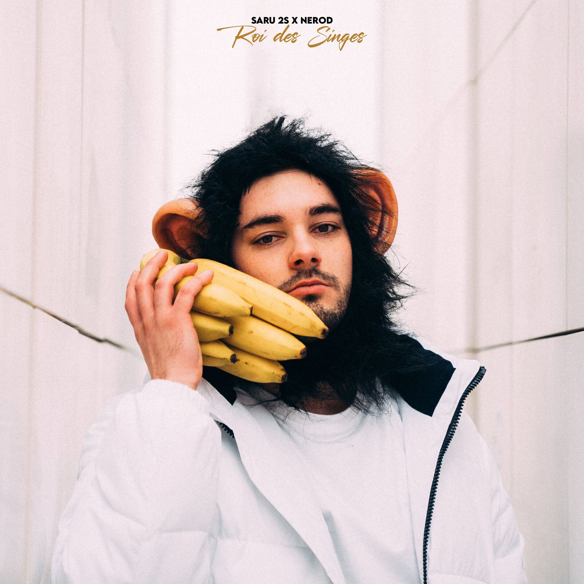 Album cover of Roi des singes
