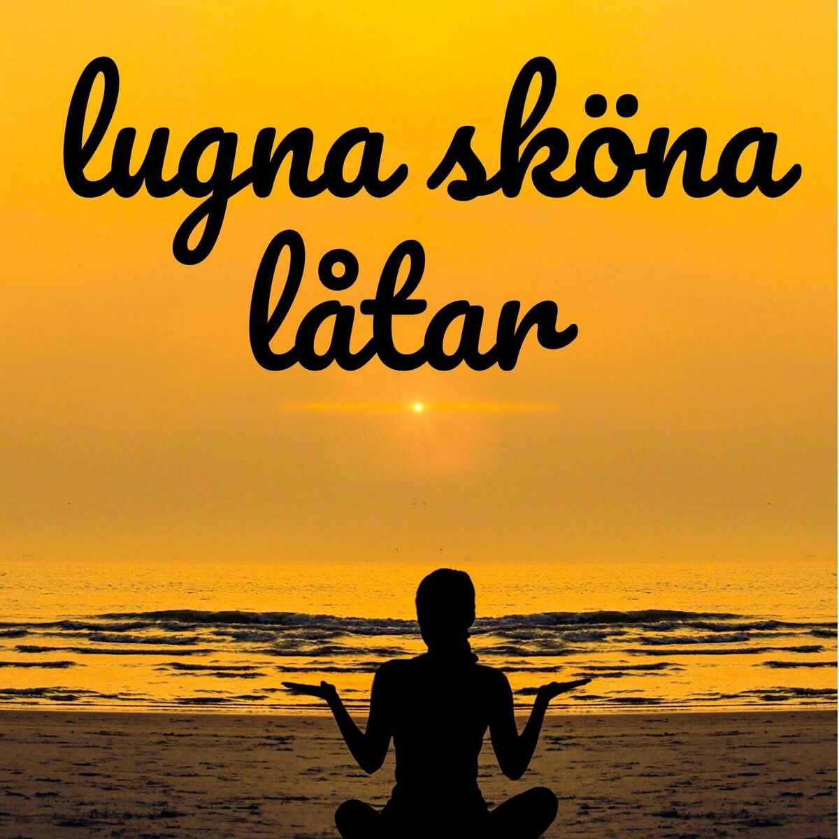 Album cover of lugna sköna låtar