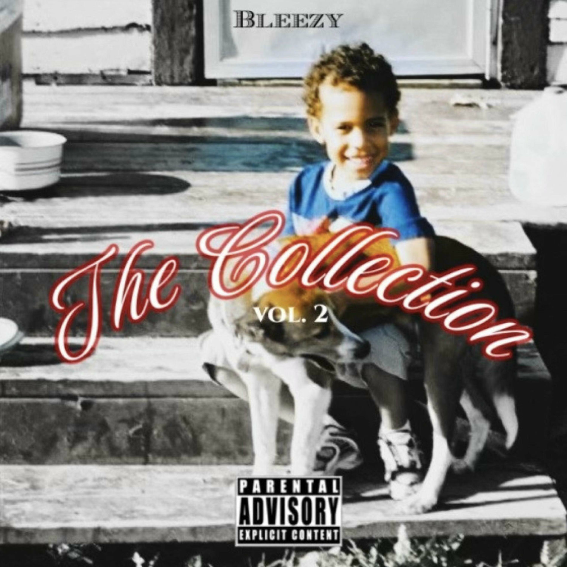 Album cover of The Collection, Vol. 2