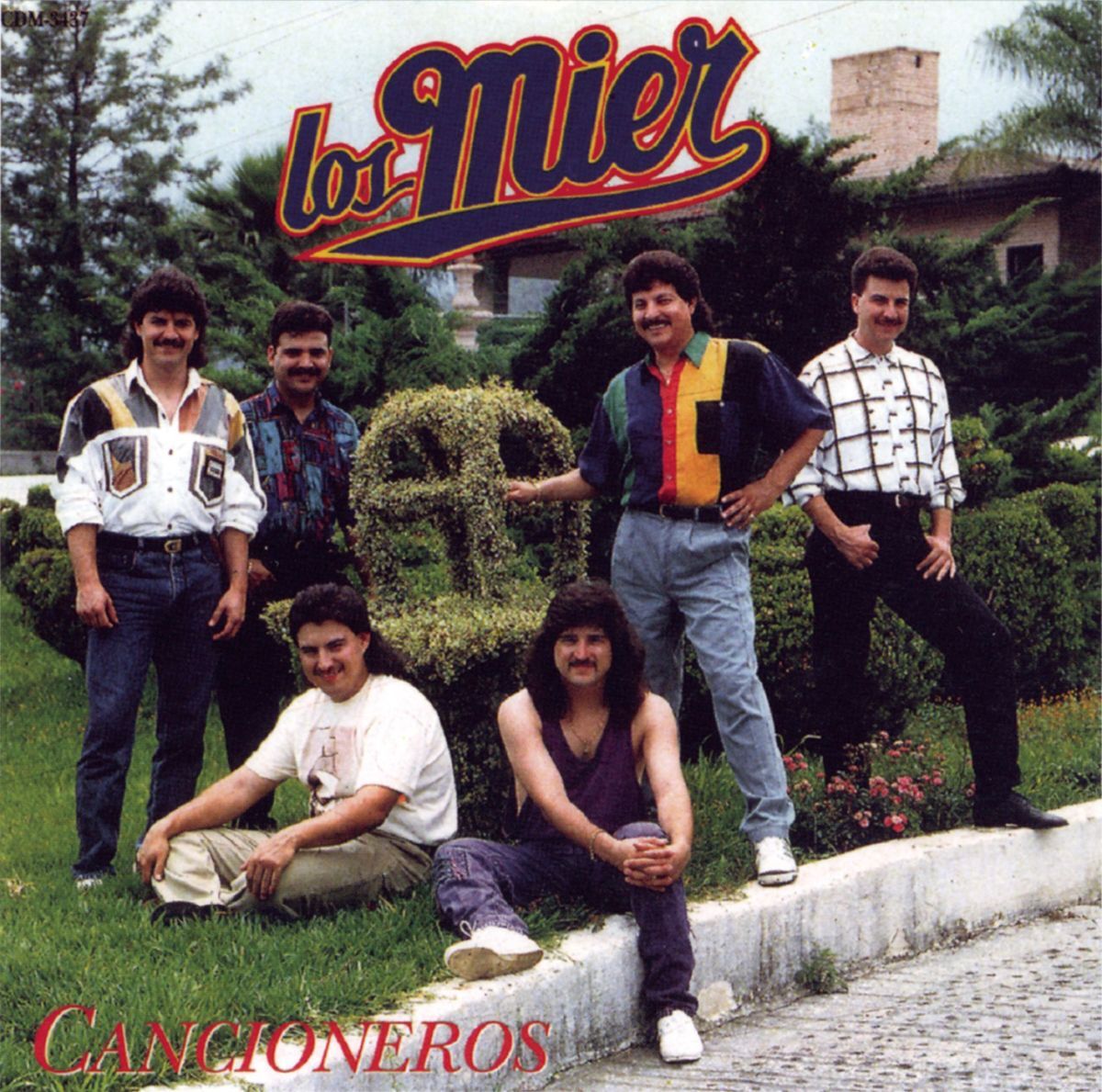 Album cover of Mujer Ideal