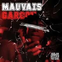 Cover of MAUVAIS GARÇON
