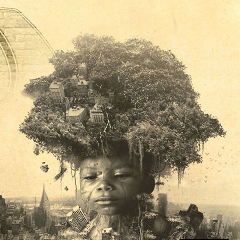 Picture of Supa Green