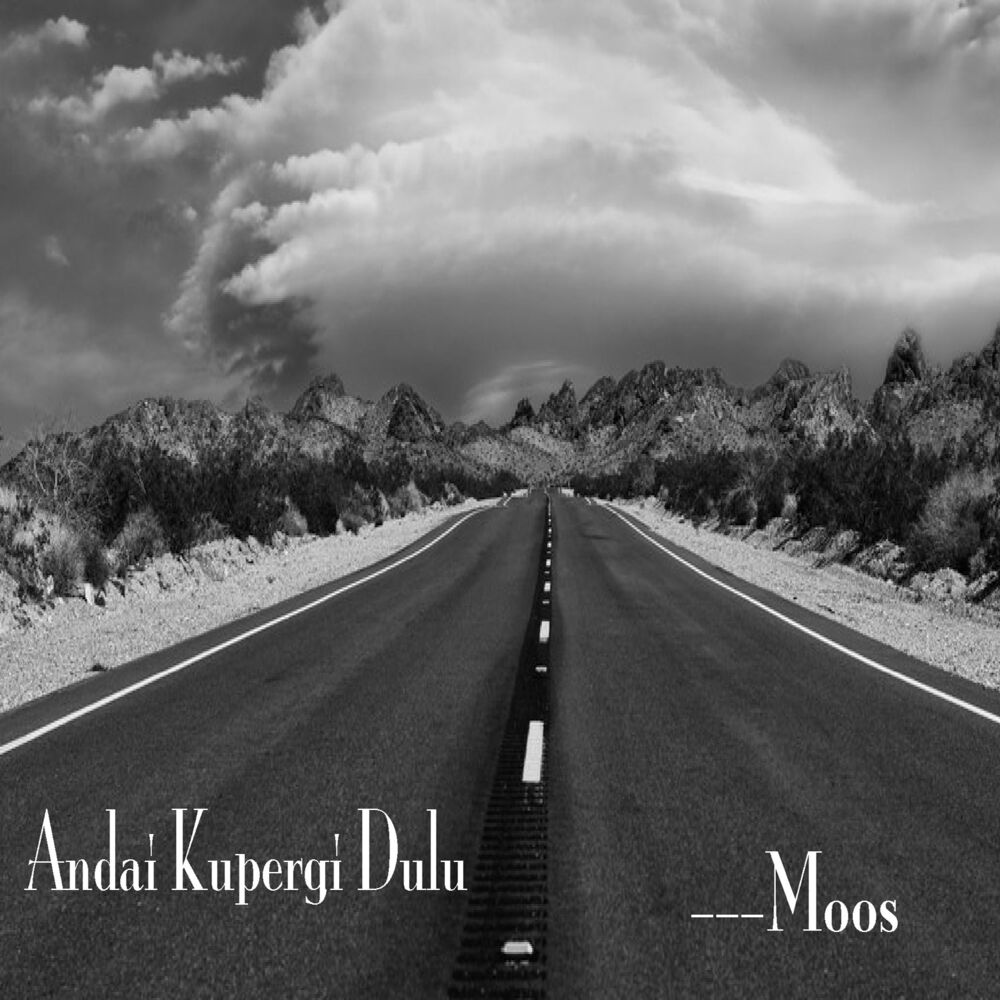 Picture of Andai Ku Pergi Dulu