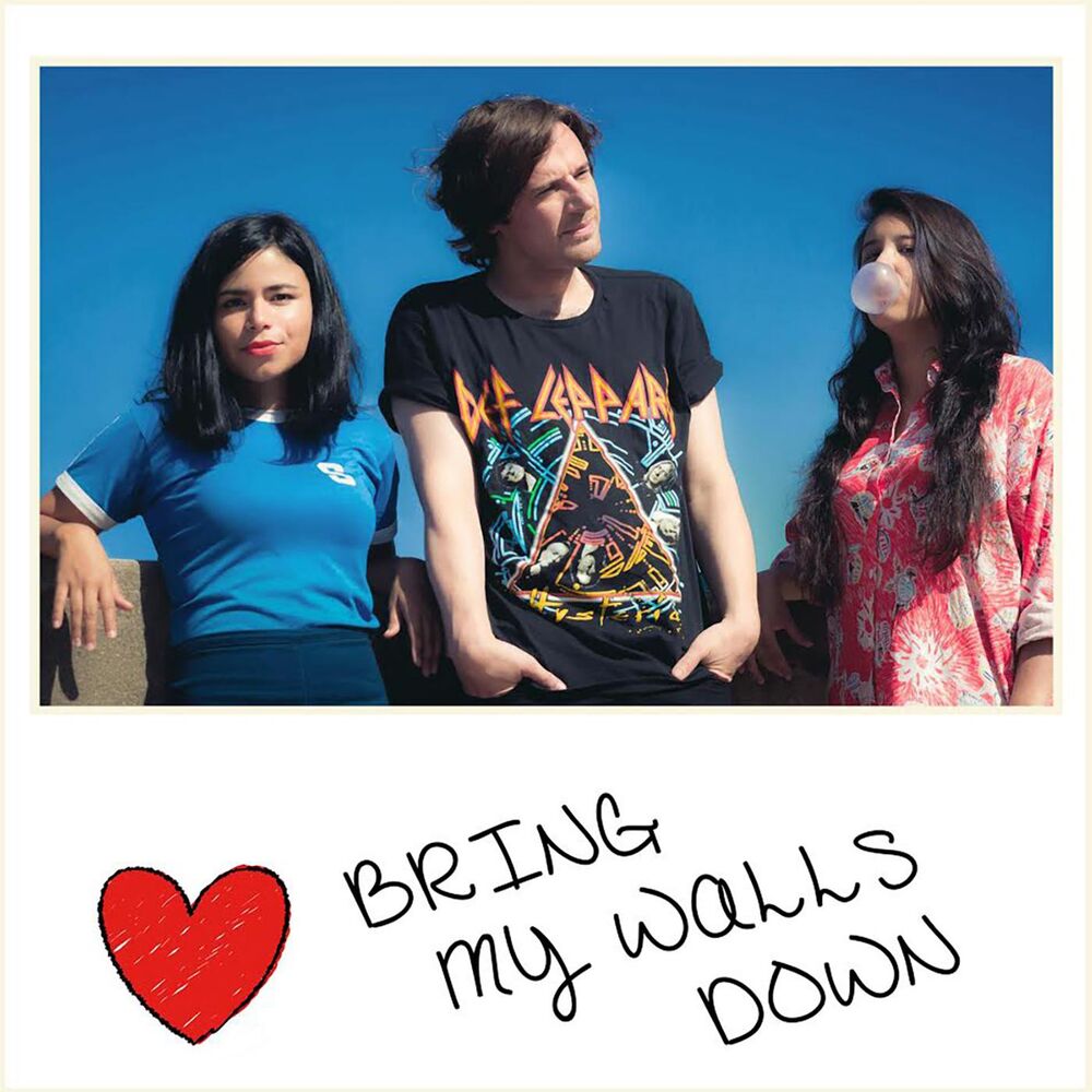 Picture of Bring My Walls Down