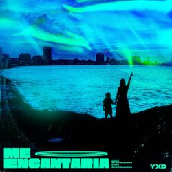 Cover of Me Encantaria