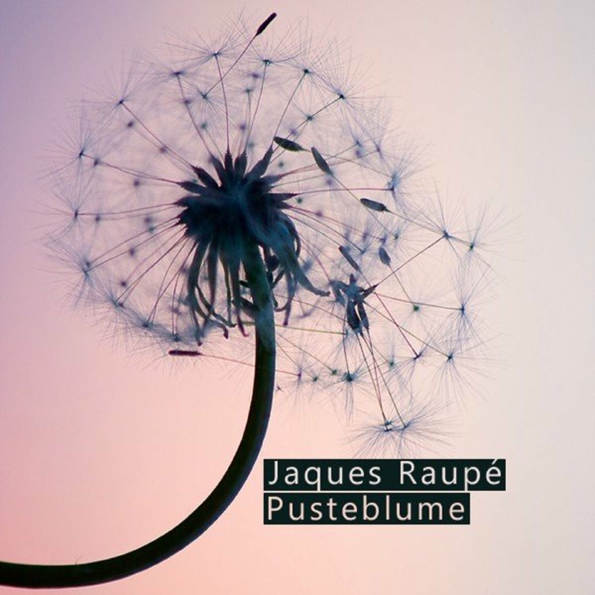 Album cover of Pusteblume