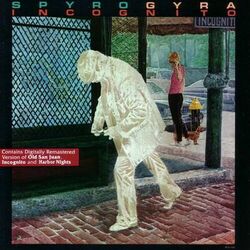 Cover of Incognito
