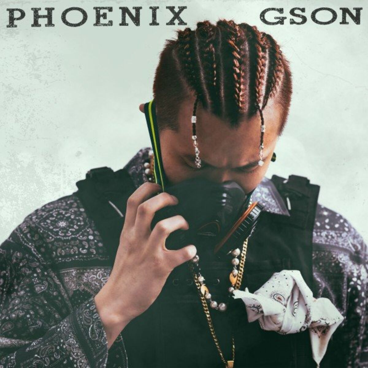 Album cover of Phoenix