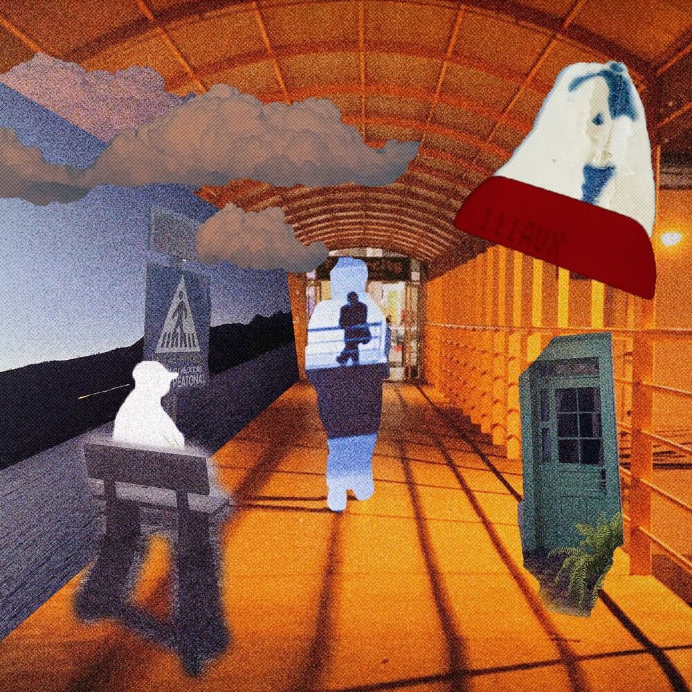 Picture of Pelicula