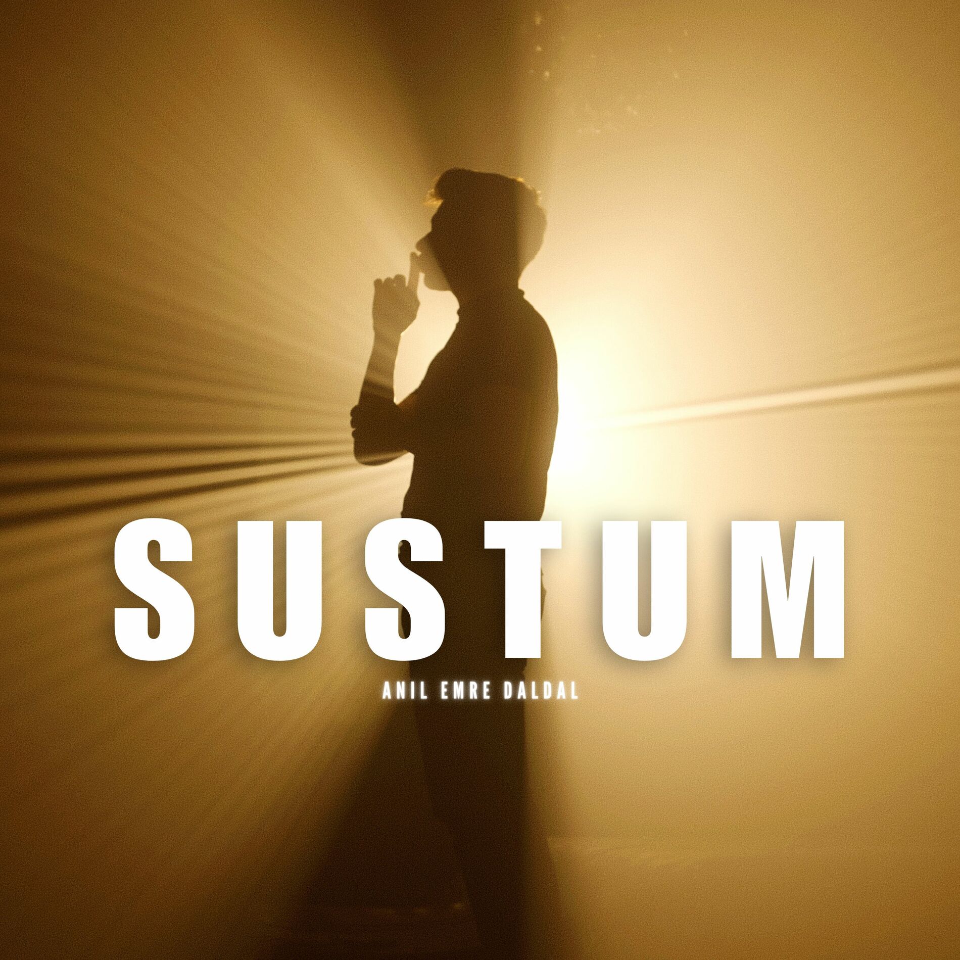 Album cover of Sustum