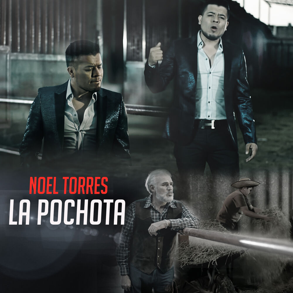 Picture of La Pochota