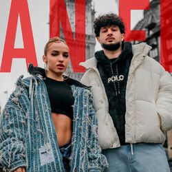 Cover of Anfi