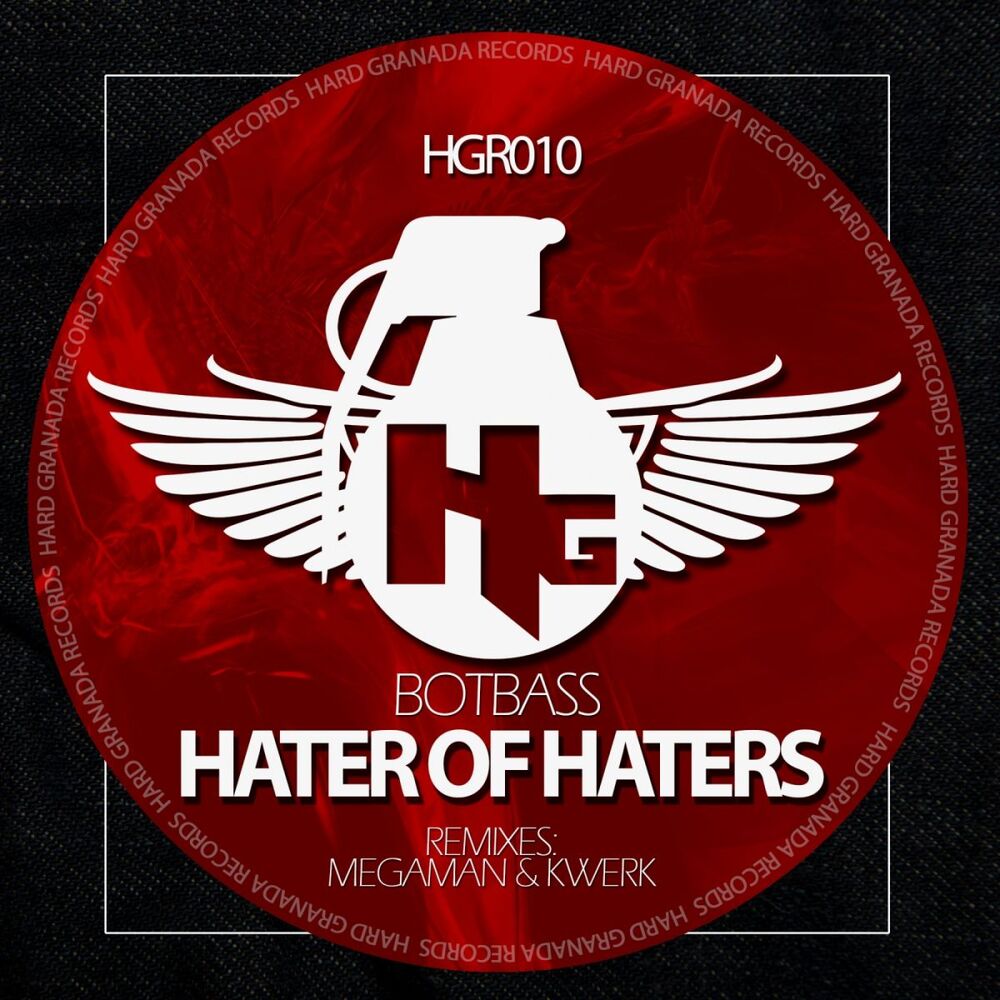 Picture of Hater of haters