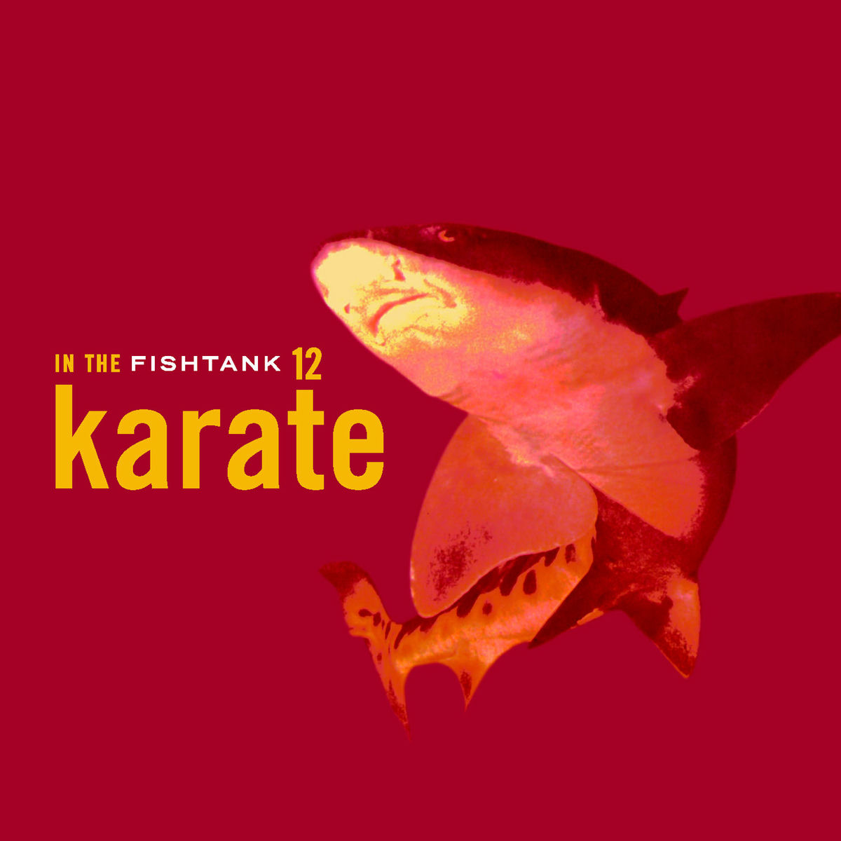 Album cover of In The Fishtank 12