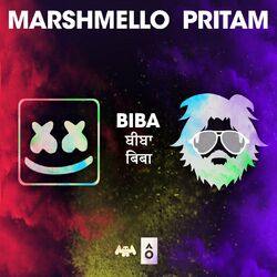 Cover of BIBA