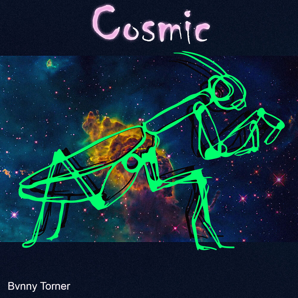 Picture of Cosmic