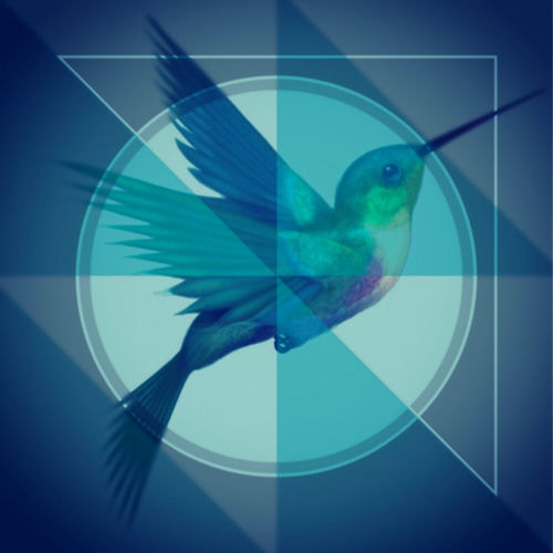 Bird Tribe