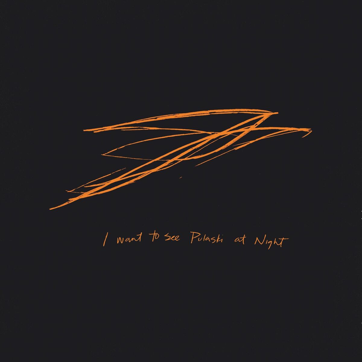 Album cover of Pulaski at Night