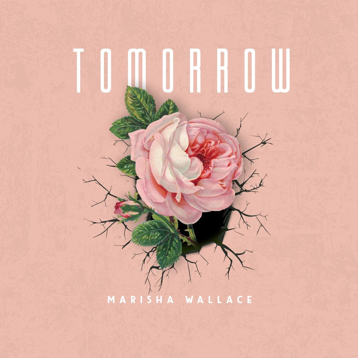 Album cover of Tomorrow