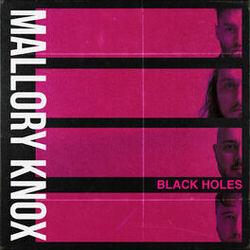 Cover of Black Holes