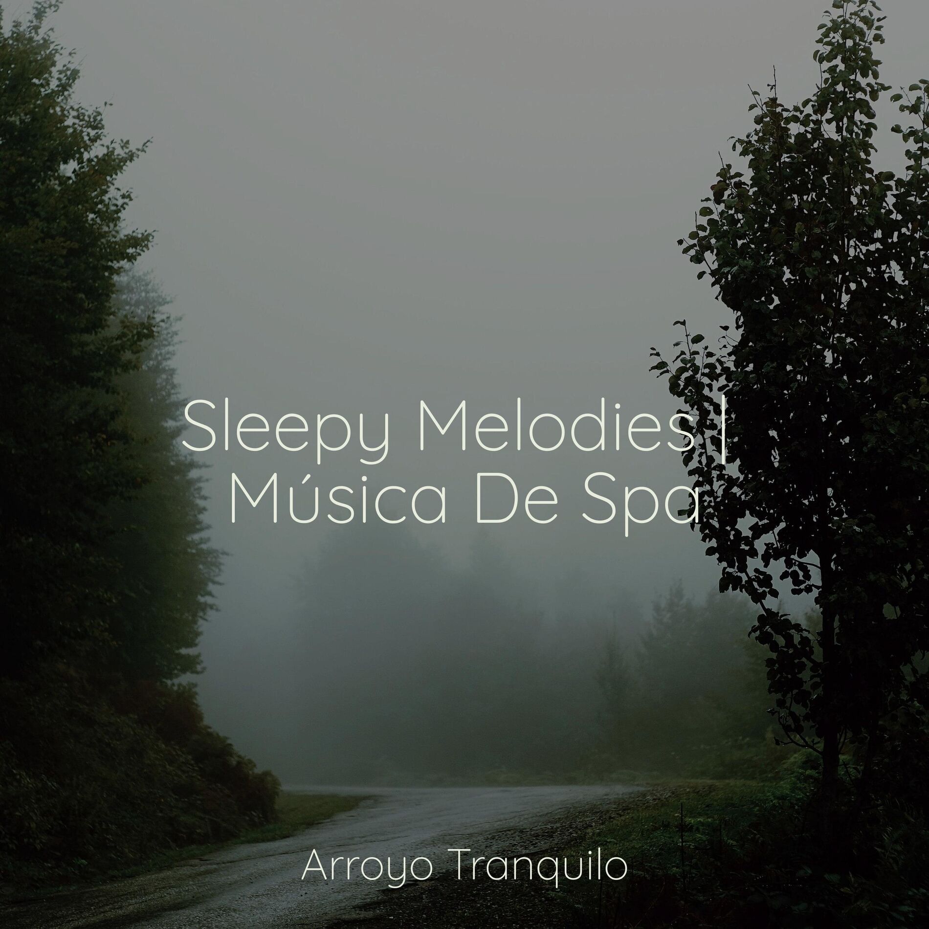 Album cover of Sleepy Melodies | Música De Spa
