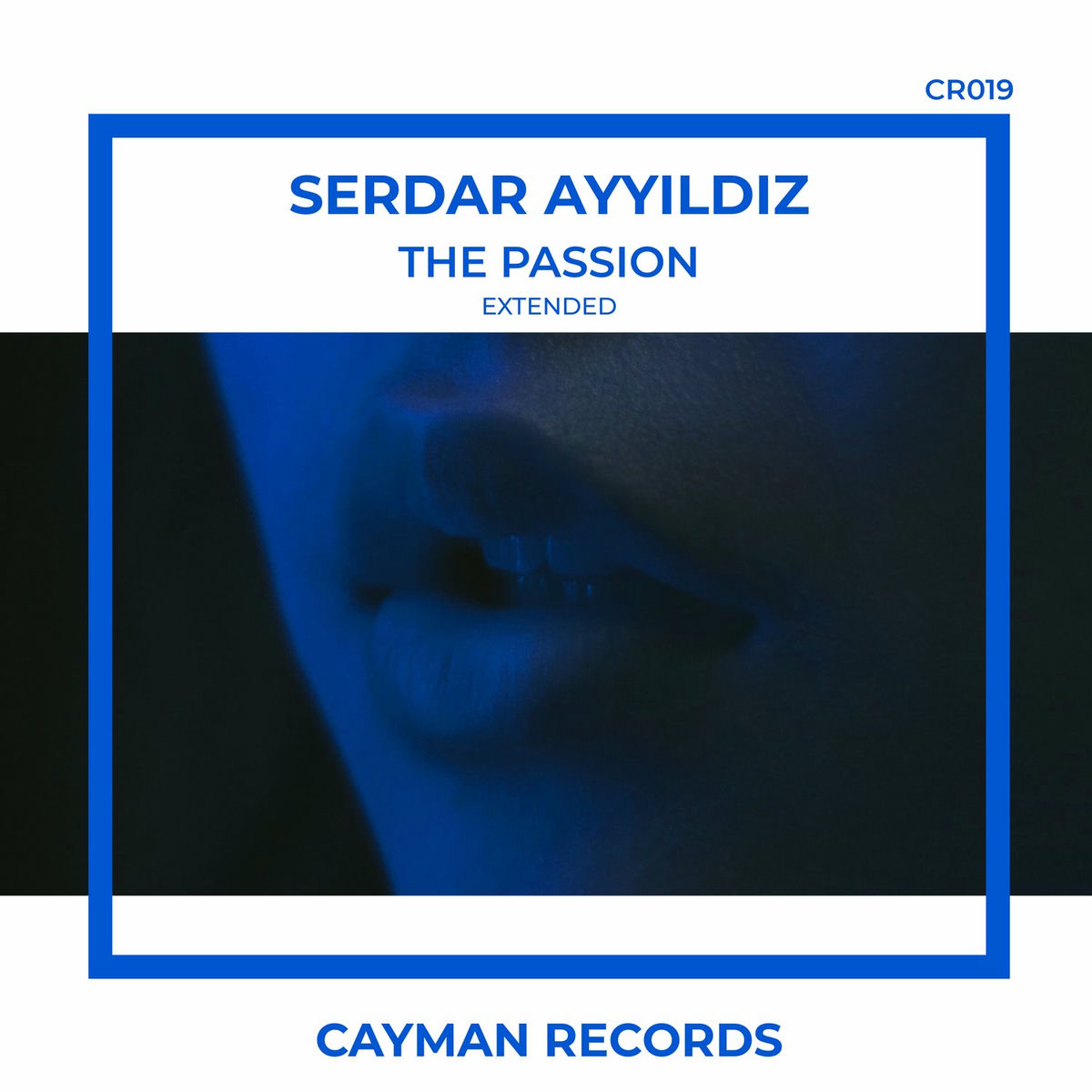 Album cover of The Passion (Extended)