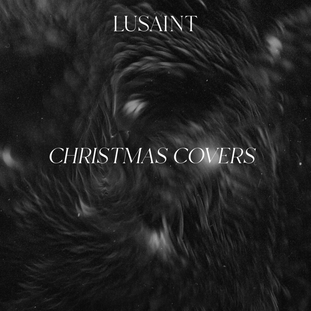 Picture of Christmas Covers