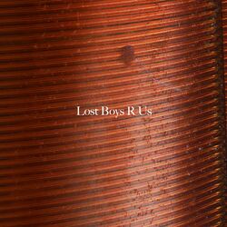 Cover of Lost Boys R Us