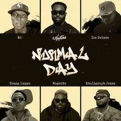 Cover of Normal Day