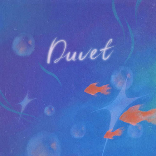 Duvet