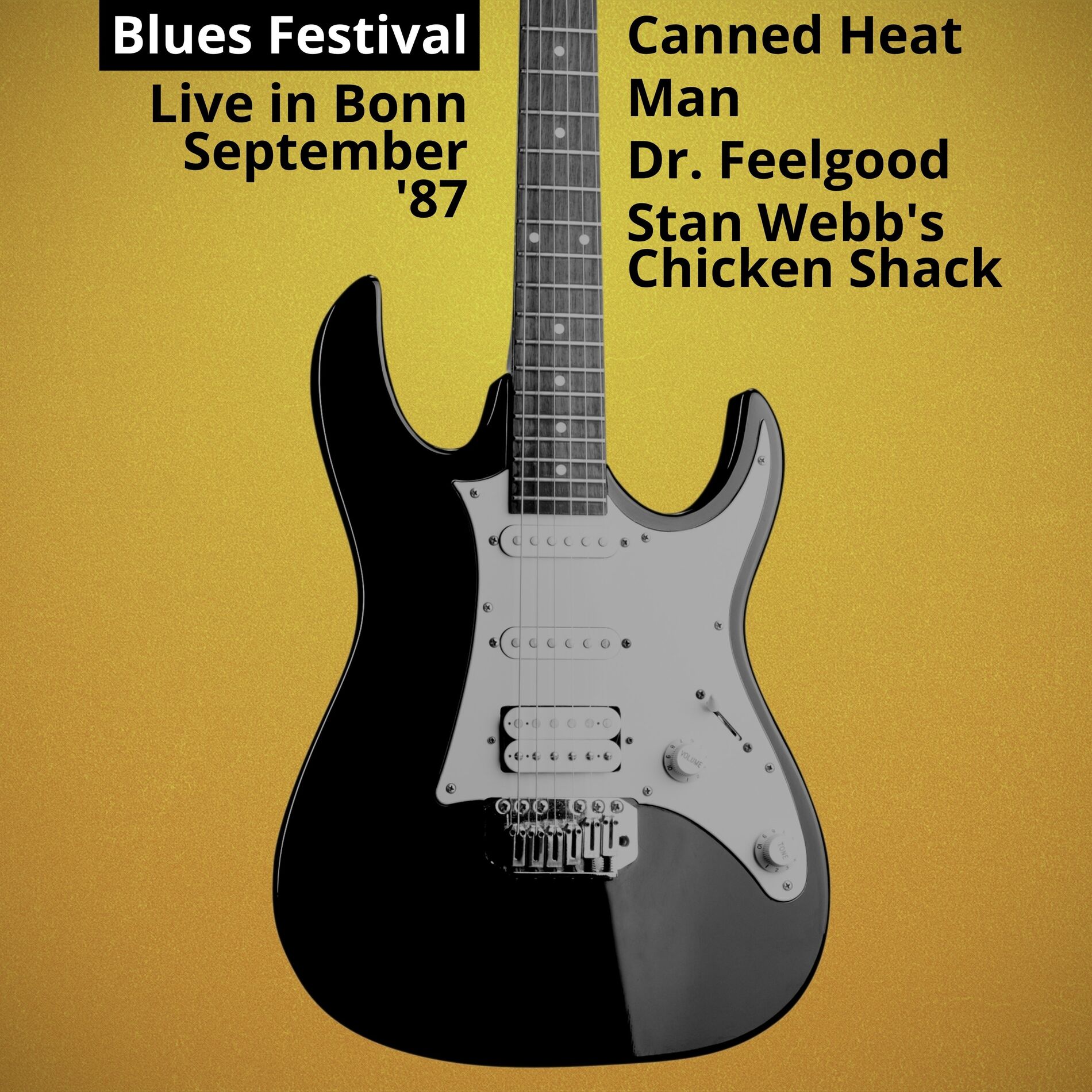 Album cover of Blues Festival - Live in Bonn September '87