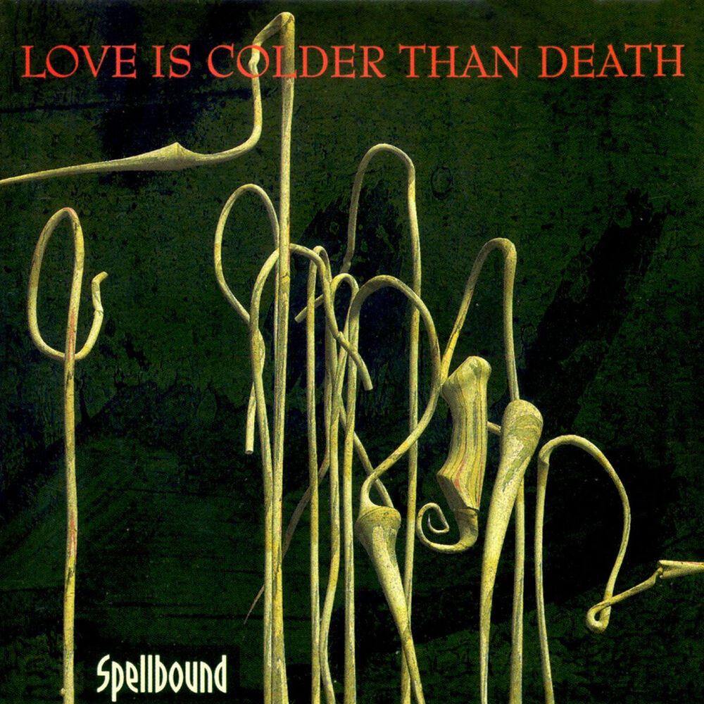 Picture of Spellbound