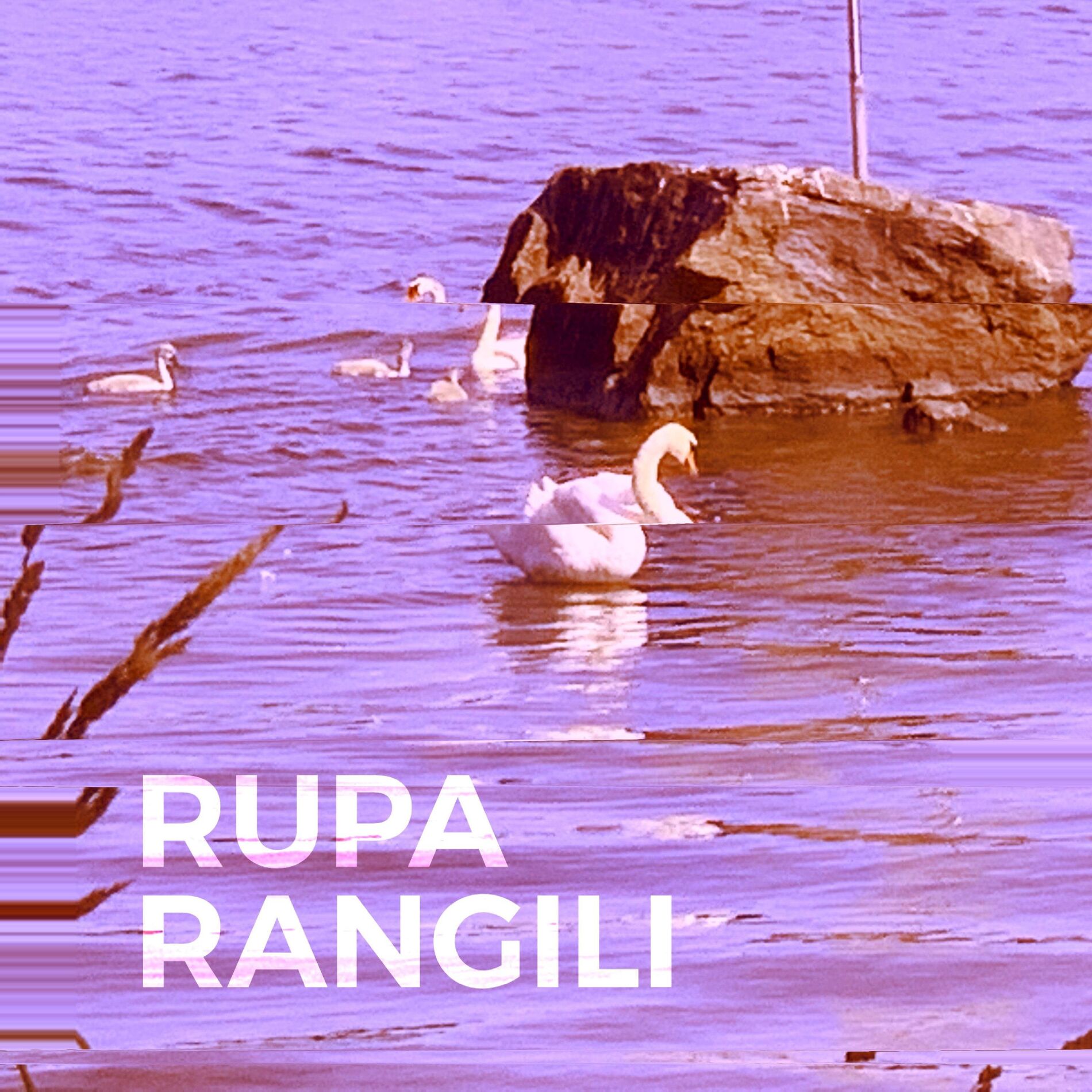 Album cover of Rangili